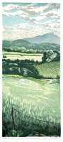 Matt Brown Woodblock Print Summer Day and Camel's Hump, 2nd state